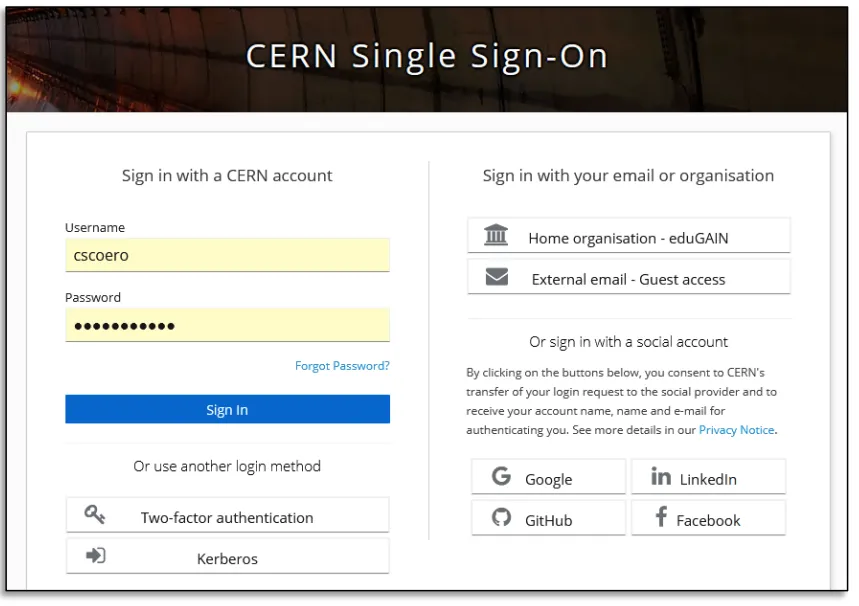 A screenshot of a sign in form

Description automatically generated